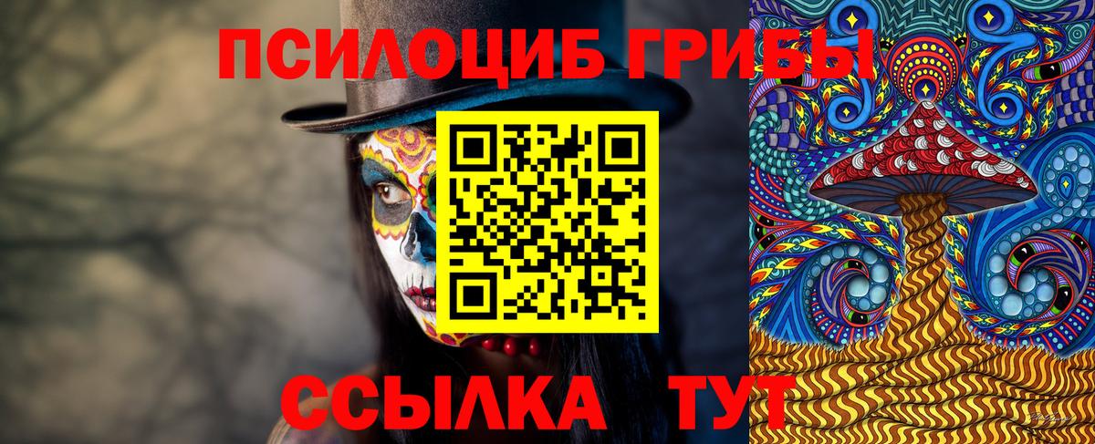 Галлюциногенные грибы GOLDEN TEACHER  Псилоцибиновые грибы MAGIC MUSHROOMS  Вход с VPN  Избербаш 