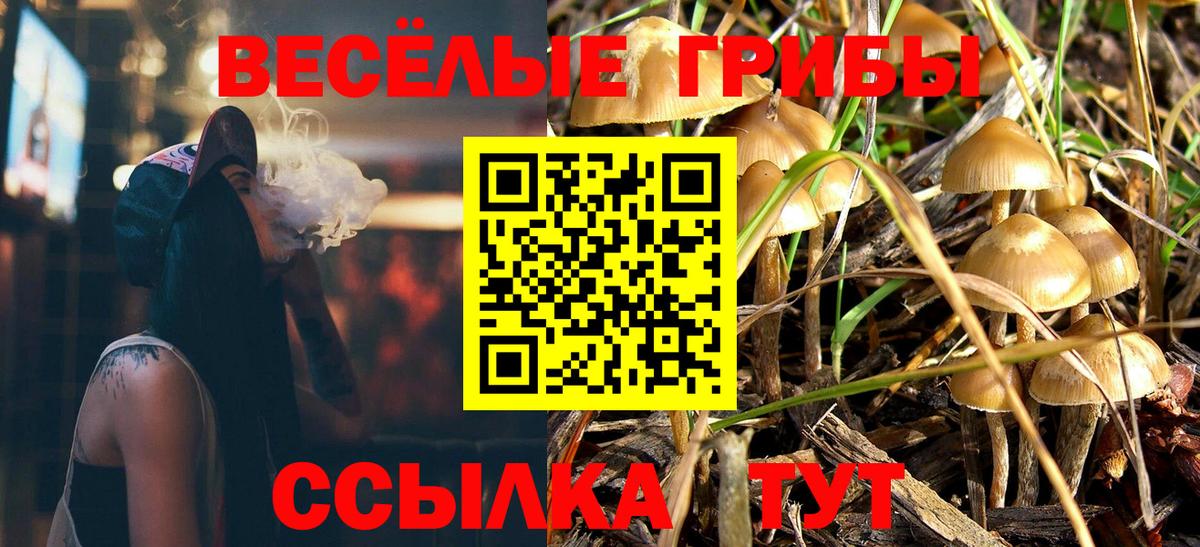 Псилоцибиновые грибы ЛСД Избербаш